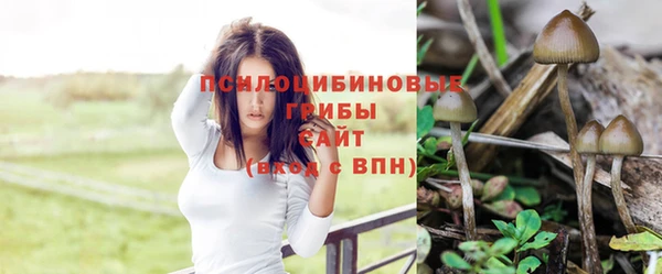 стафф Снежинск