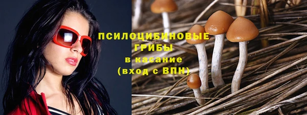 стафф Снежинск
